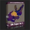 EDM Project Vol 1 (FL Studio工程)